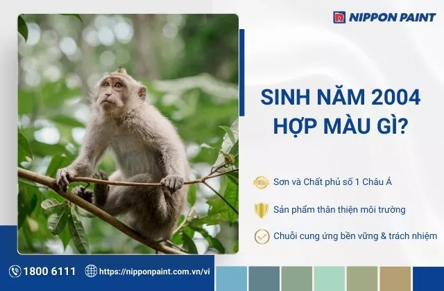 Tuổi Giáp Thân 2004 hợp màu gì? 30 màu sơn mang tài lộc cho gia chủ