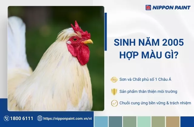 Gia chủ Ất Dậu 2005 hợp màu gì? Top 30 mẫu phối màu chuẩn phong thủy