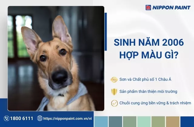 2006 hợp màu gì? Top 30 mẫu phối màu sơn nhà nội thất hiện đại