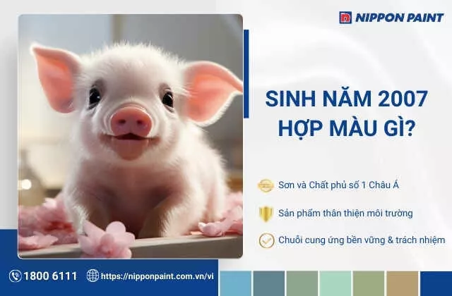 2007 hợp màu gì? Gợi ý 28 mẫu phối màu sơn hợp phong thủy Đinh Hợi 2007