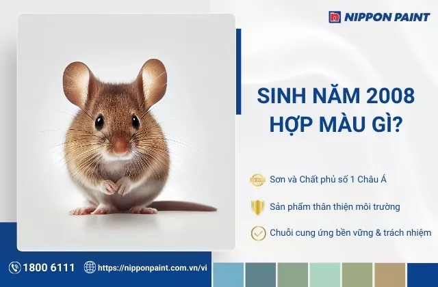 2008 hợp màu gì? Tham khảo 20+ gợi ý phối màu sơn phòng phù hợp lứa tuổi Mậu Tý 2008