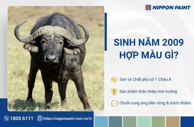 2009 hợp màu gì? Top 20+ mẫu màu sơn nhà hợp tuổi Kỷ Sửu, đón may mắn