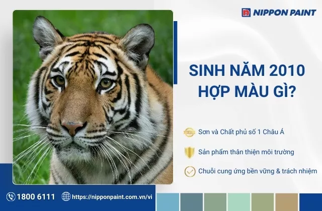 2010 hợp màu gì? Tham khảo 20+ mẫu màu sơn nhà hợp tuổi Canh Dần, rước tài lộc