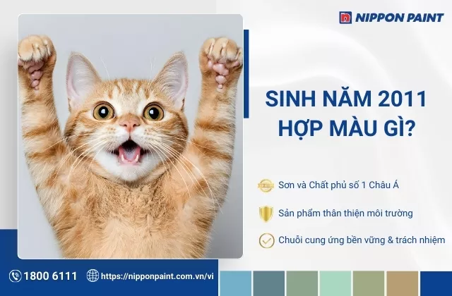 2011 hợp màu gì? Gợi ý 20+ mẫu màu sơn nhà hợp tuổi Tân Mão, rước may mắn
