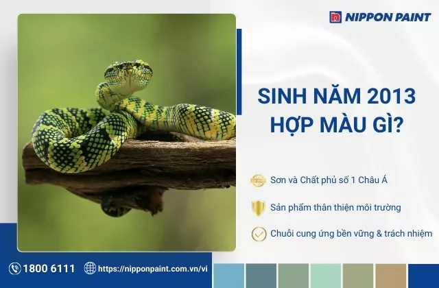 2013 hợp màu gì? Top 20+ mẫu màu sơn nhà hợp tuổi Quý Tỵ, đón may mắn