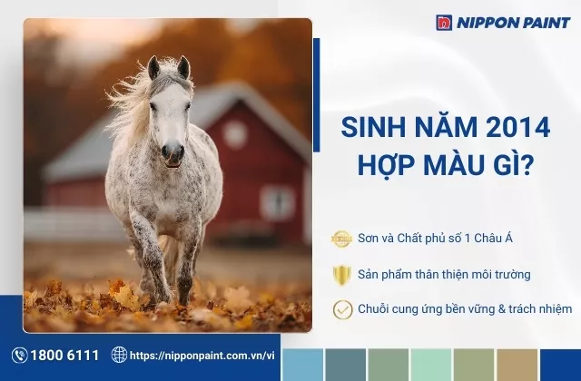 2014 hợp màu gì? Gợi ý 20+ mẫu màu sơn nhà hợp tuổi Giáp Ngọ, rước tài lộc