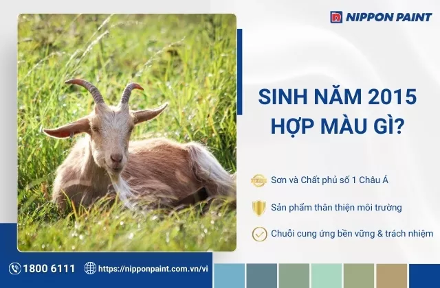 2015 hợp màu gì? Top 20+ mẫu màu sơn nhà hợp tuổi Ất Mùi, đón may mắn