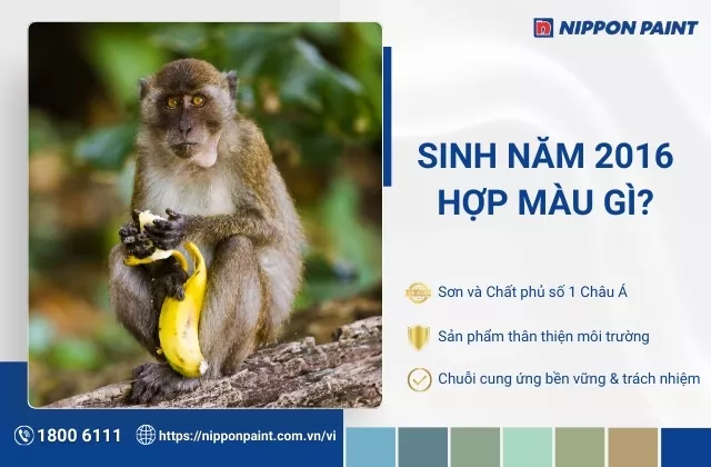 2016 hợp màu gì? Gợi ý 20+ mẫu màu sơn nhà hợp tuổi Bính Thân, đón tài lộc