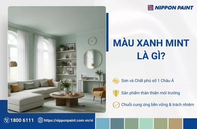Màu xanh mint là gì? Gợi ý 30 mẫu phối và ứng dụng màu xanh mint trong thiết kế nội thất