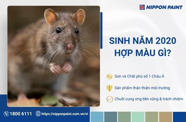 2020 mệnh gì hợp màu gì? Tổng hợp 20 màu sơn phòng hợp tuổi Canh Tý