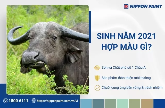 2021 mệnh gì hợp màu gì? Màu sơn mang lại may mắn cho tuổi Tân Sửu