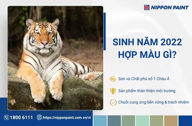 2022 mệnh gì hợp màu gì? Gợi ý màu sơn phòng hợp tuổi bé Nhâm Dần