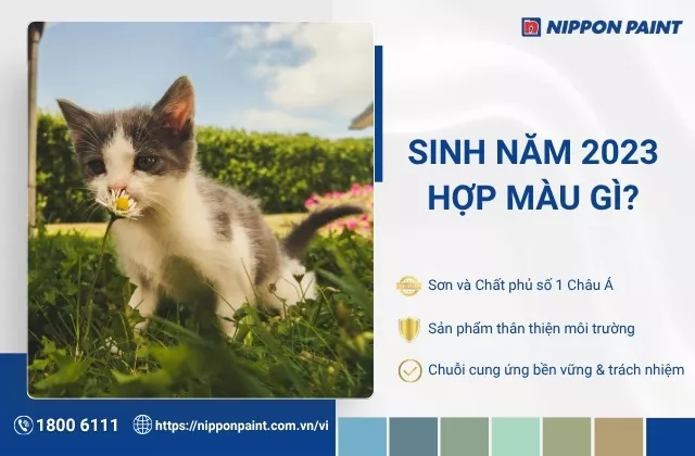 2023 hợp màu gì? Tham khảo màu sơn phong thủy cho tuổi Quý Mão