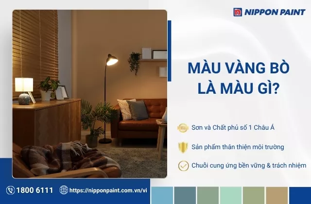 Màu vàng bò là màu gì? Gợi ý phối màu không gian đẹp sang trọng