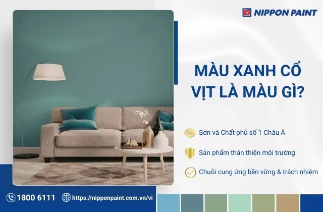 Màu xanh cổ vịt là gì? Ý nghĩa của màu sơn tường xanh cổ vịt trong thiết kế nội thất