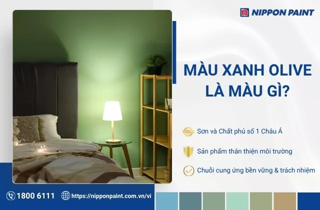 Màu xanh olive là gì? Ý nghĩa và ứng dụng của màu sơn xanh olive trong nội thất