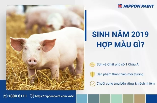 2019 mệnh gì hợp màu gì? Gợi ý 20+ màu sơn nhà hợp tuổi Kỷ Hợi 2019 chuẩn phong thủy