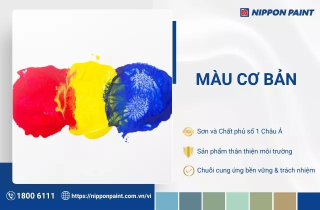 Màu cơ bản là gì? Các hệ màu cơ bản và cách ứng dụng trong phối màu