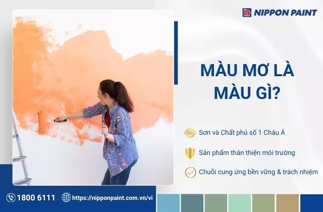 Màu mơ (Apricot) là màu gì? Ý nghĩa, cách phối màu và ứng dụng sơn nhà đẹp
