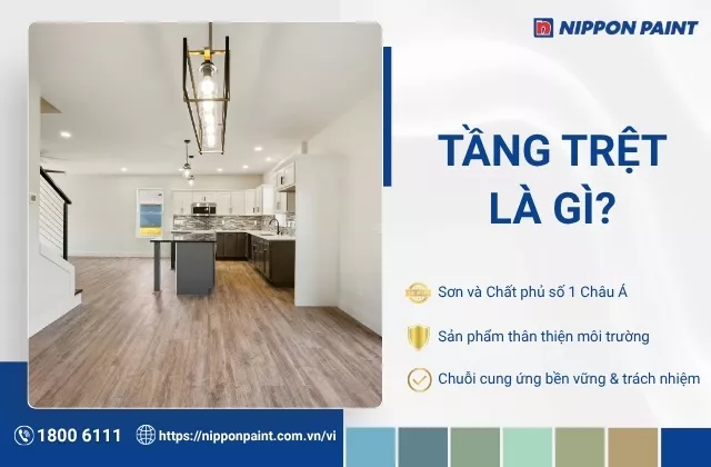 Tầng trệt là gì? Cách phân biệt và thiết kế tầng trệt đẹp, tiện nghi