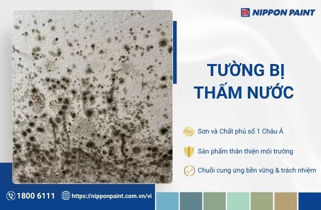 Tường bị thấm nước: Nguyên nhân, dấu hiệu và cách xử lý triệt để